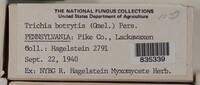 Image Associated With the Occurence